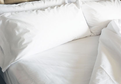 American Boutique 300 Thread Count Pillow Cases